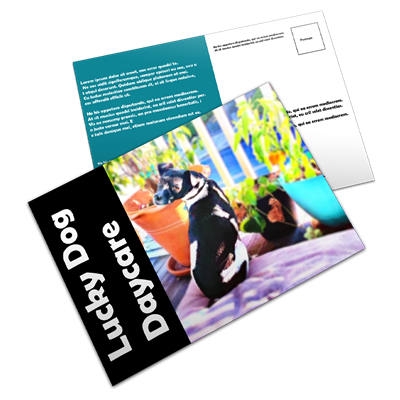 5.5x8.5 Postcards